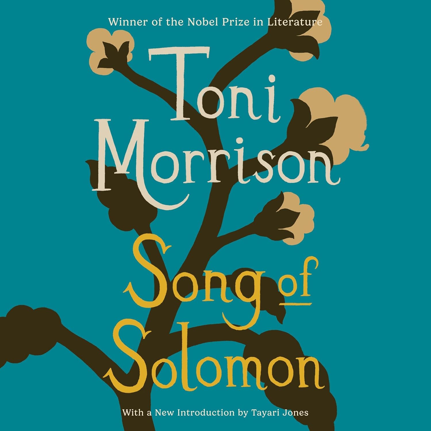 Song of Solomon cover