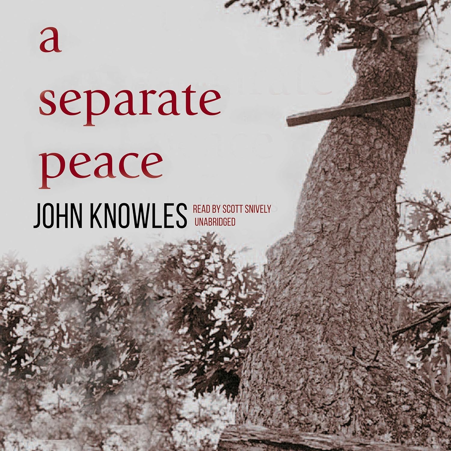 A Separate Peace cover